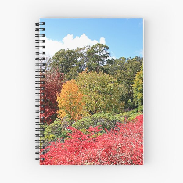 Item preview, Autumn splendour, Adelaide Hills, South Australia designed and sold by FranWest.