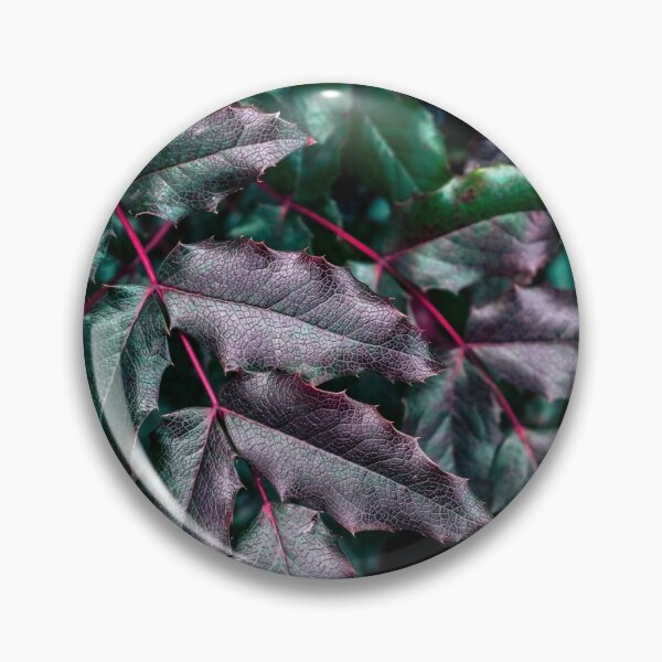 Item preview, Barberry plant designed and sold by printernet.