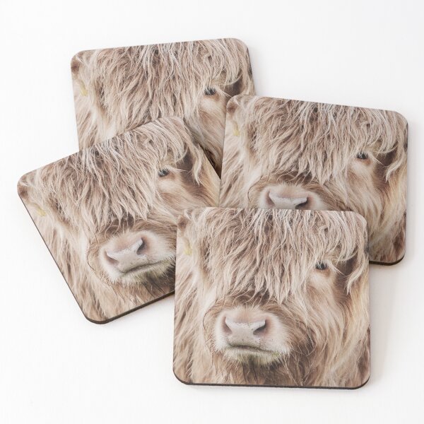 Item preview, Portrait of a young Scottish highland cow designed and sold by Melissa Peltenburg.