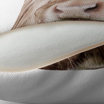 Alternate view of Portrait of a young Scottish highland cow Throw Pillow