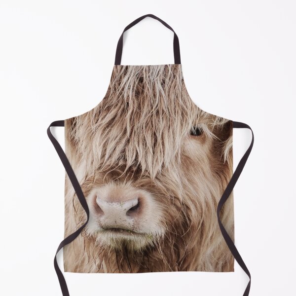 Item preview, Portrait of a young Scottish highland cow designed and sold by Melissa Peltenburg.