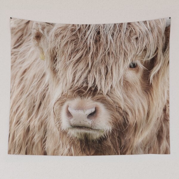 Item preview, Portrait of a young Scottish highland cow designed and sold by Melissa Peltenburg.