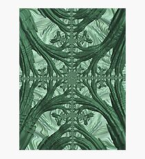 Lámina fotográfica Fractal Ivy
