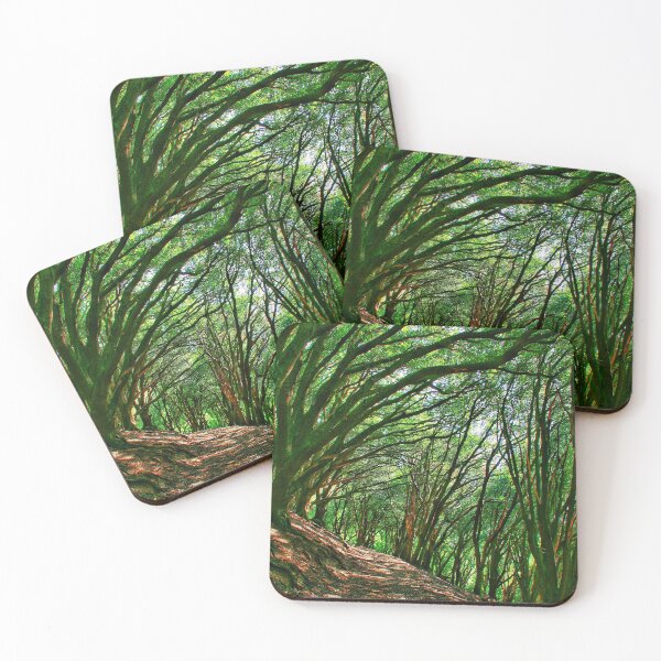 Item preview, Wooded pathway designed and sold by Jellycandy.