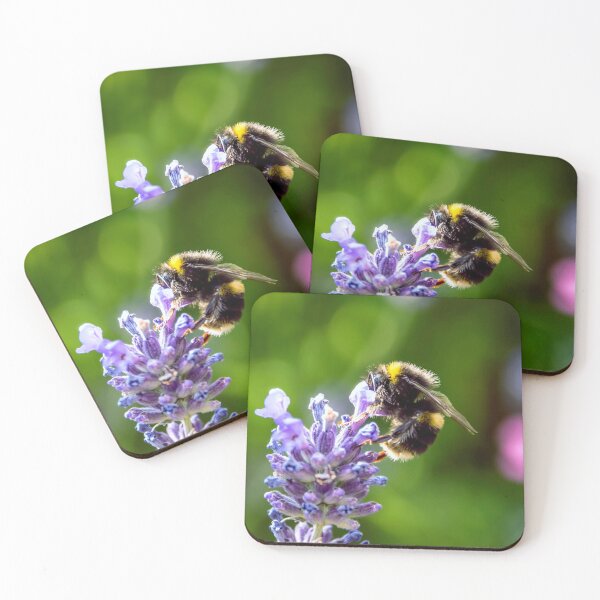 Item preview, #47 Bumble Bee designed and sold by phutball.