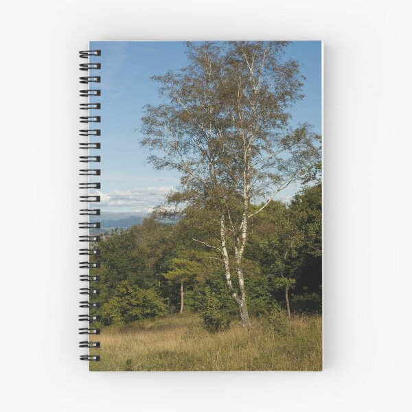 Item preview, SILVER BIRCH designed and sold by andrewsaxton.