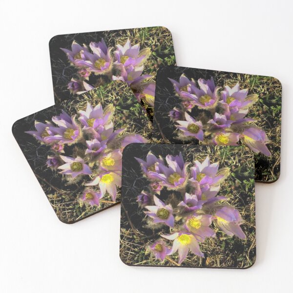 Item preview, Prairie Crocuses   designed and sold by sandpiperstudio.