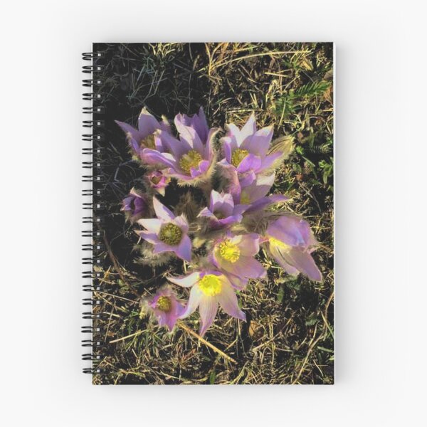 Item preview, Prairie Crocuses   designed and sold by sandpiperstudio.