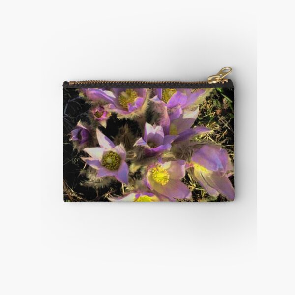 Item preview, Prairie Crocuses   designed and sold by sandpiperstudio.