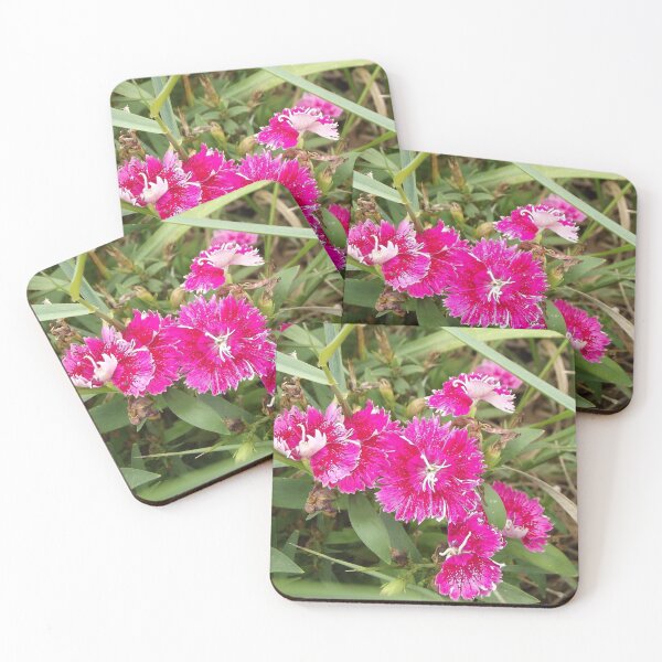 Item preview, Pink dianthus  designed and sold by greentiger1.
