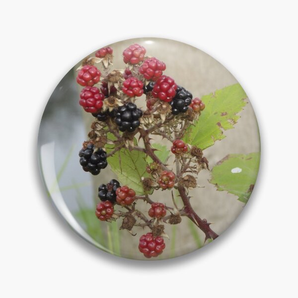 Artikelvorschau, Brombeeren entworfen und verkauft von greentiger1.