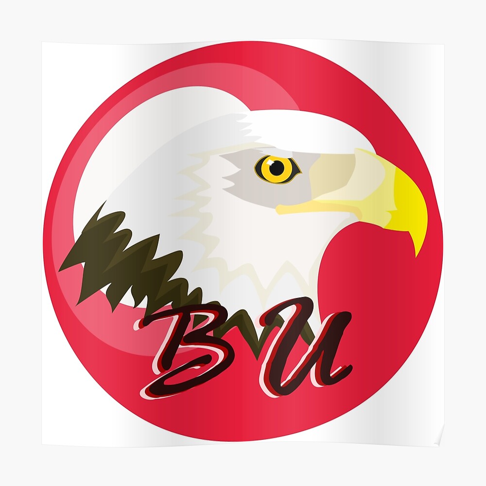 Philadelphia Eagles Bald Eagle Custom Design Sticker for Sale by