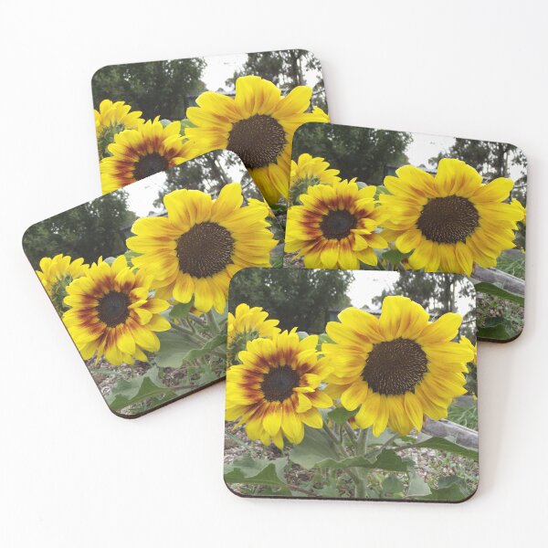 Item preview, Sunflower cluster designed and sold by greentiger1.