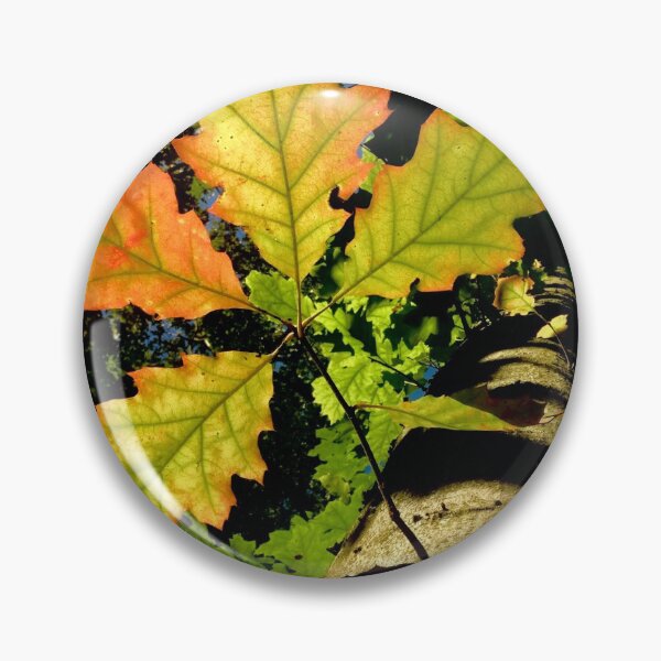 Item preview, The Mighty Oak Tree designed and sold by stephwalsh.
