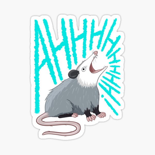 Crazy Raccoon Merch & Gifts for Sale | Redbubble