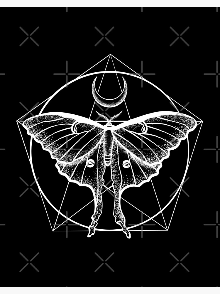 Luna on sale Moth Geometric Artwork