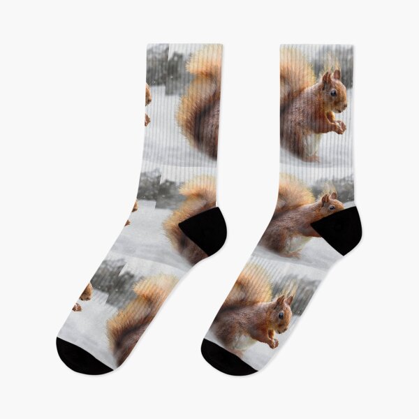 Item preview, Red Squirrel Illustration designed and sold by Scat the cat.