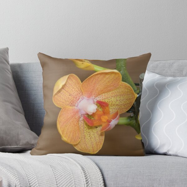 Item preview, Cymbidium Sp. designed and sold by Antonio Pizarro Mendez.