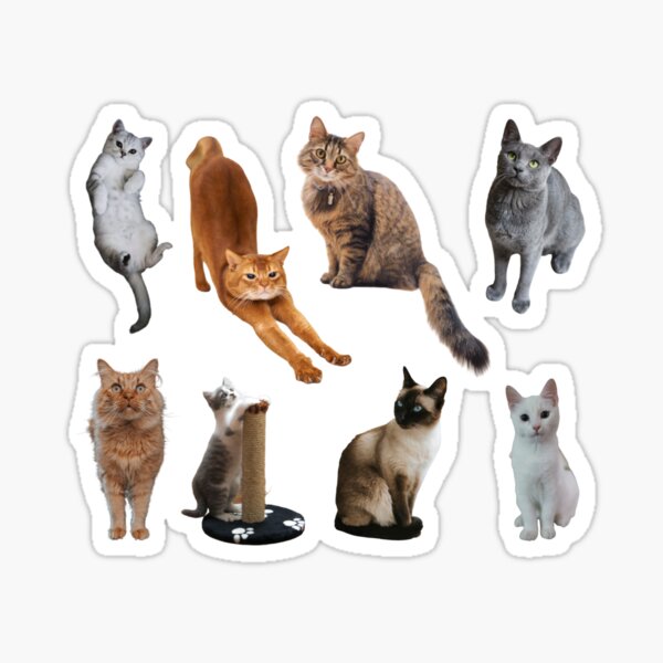 Artikel-Vorschau von Acht flauschige Kätzchen Pack Sticker Pack, designt und verkauft von CrystalRaen.