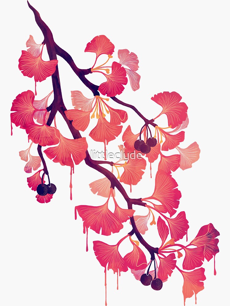Oh ginkgo de littleclyde