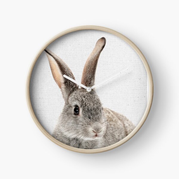 Rabbit 34 Uhr