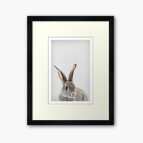 Rabbit 34 Gerahmter Kunstdruck