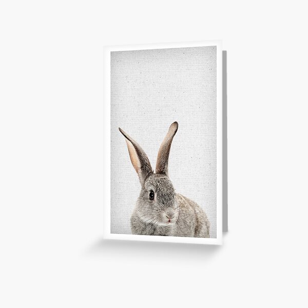 Rabbit 34 Grußkarte