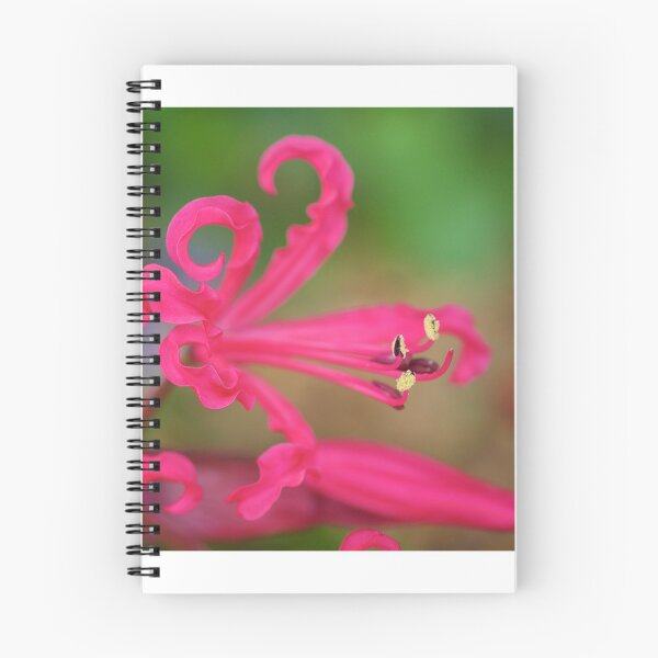 Item preview, Pink Flower designed and sold by D-GaP.
