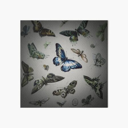 butterflies Art Board Print