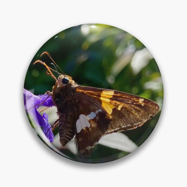 Item preview, Polilla designed and sold by Chriskasper.