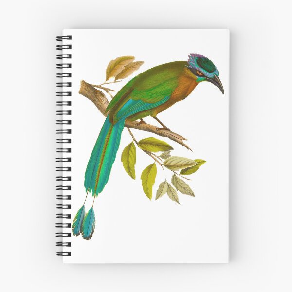 Item preview, Lesson's motmot (Momotus lessonii) designed and sold by Ecologos.
