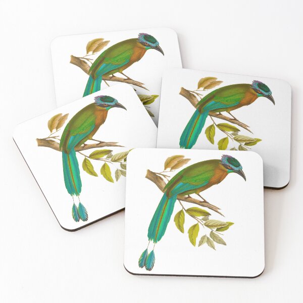 Item preview, Lesson's motmot (Momotus lessonii) designed and sold by Ecologos.
