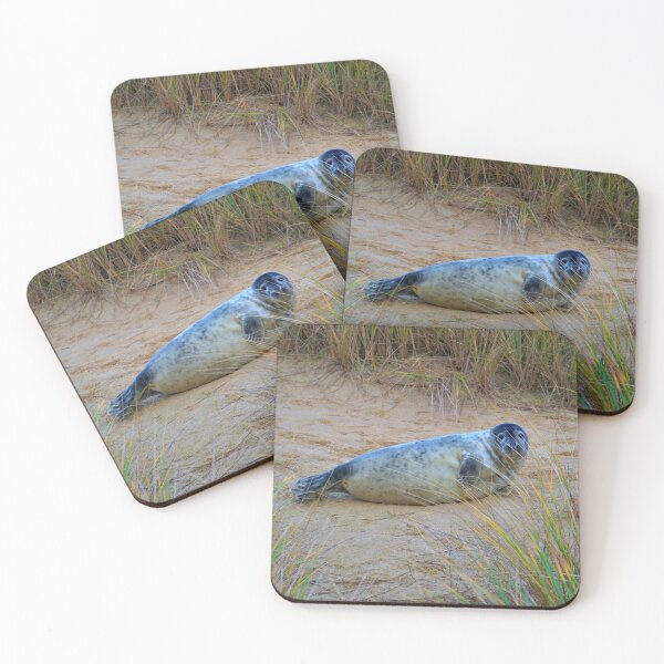 Item preview, Posing Grey Seal Pup  designed and sold by stretchtees.