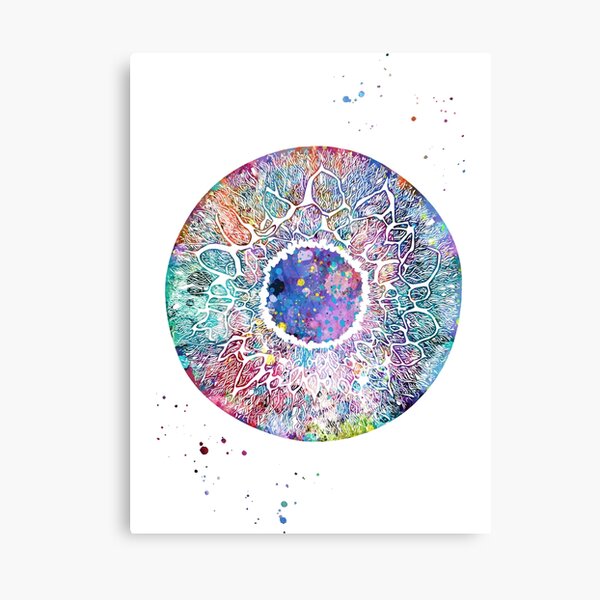 Iris and Pupil of the Human Eye Canvas Print