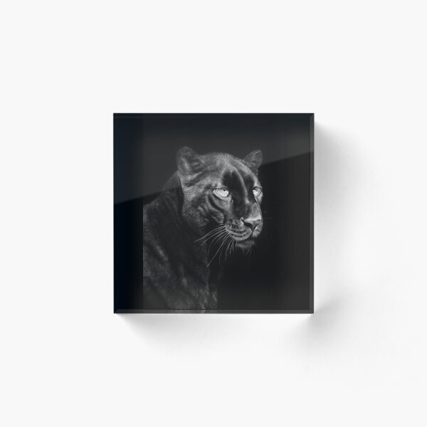 Black Panther Black and White Artwork Acrylic Block