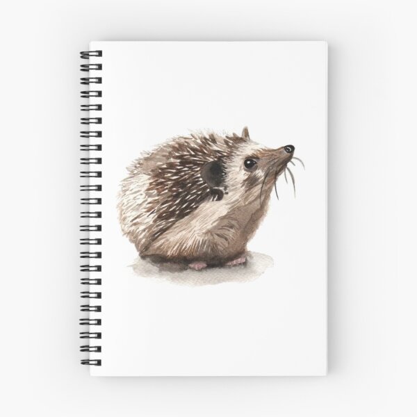 Artikelvorschau, Igel Aquarell Kunstdruck entworfen und verkauft von CTWDesigns.