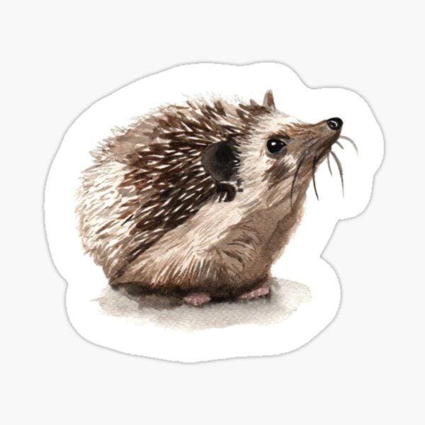 Item preview, Hedgehog watercolor art print designed and sold by CTWDesigns.