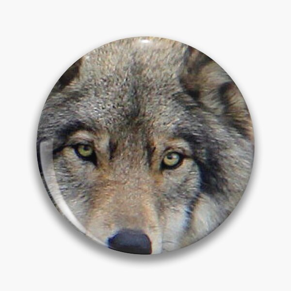 Item preview, Timberwolf Close Up designed and sold by vette.