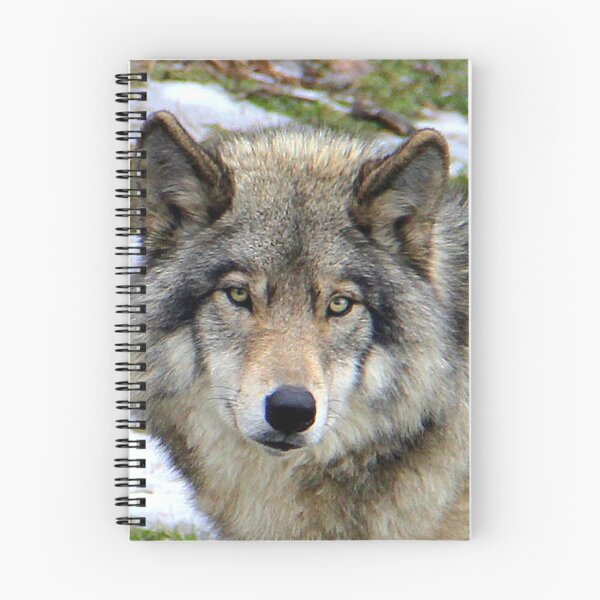 Item preview, Timberwolf Close Up designed and sold by vette.