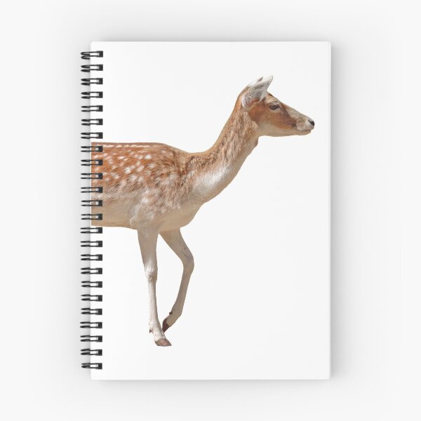 Item preview, Fallow Deer designed and sold by Silverti.