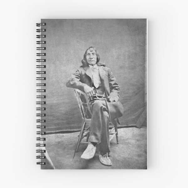Item preview, Chief Red Cloud Portrait - Circa 1882 designed and sold by warishellstore.