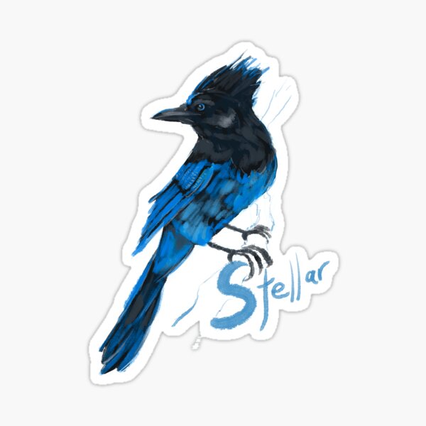 Stellar’s Jay Sticker