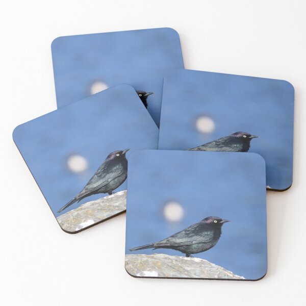 Item preview, Bird on a rock designed and sold by LaliCreations.