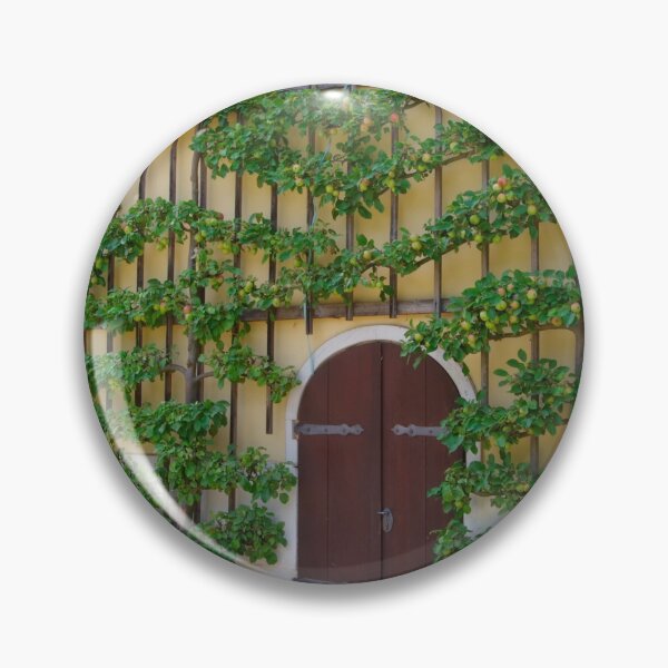 Item preview, Apple espalier tree designed and sold by Treemonk.