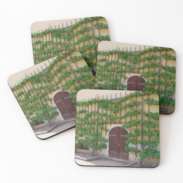 Item preview, Apple espalier tree designed and sold by Treemonk.