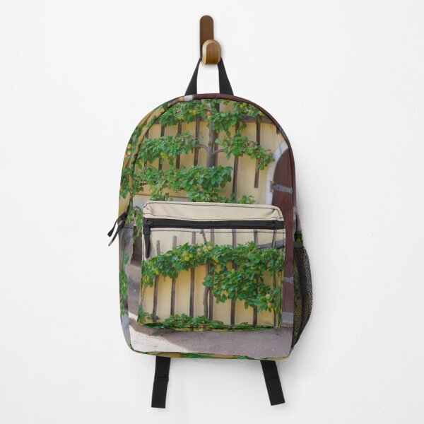Item preview, Apple espalier tree designed and sold by Treemonk.
