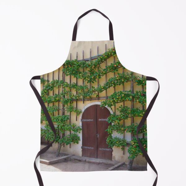 Item preview, Apple espalier tree designed and sold by Treemonk.