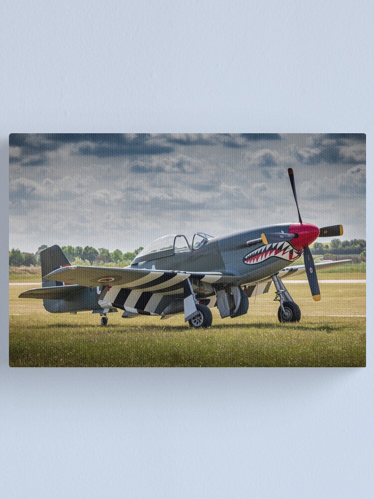 North American P-51D Mustang 'Shark Mouth'