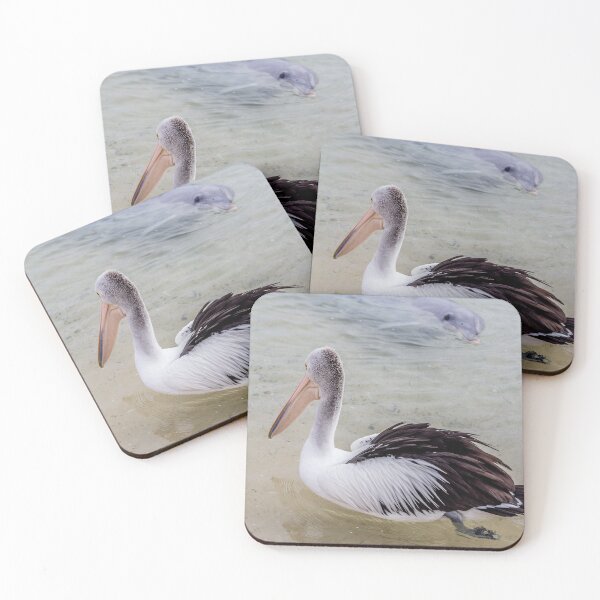 Item preview, Watching the dolphins swim around the pelicans designed and sold by alokojha.