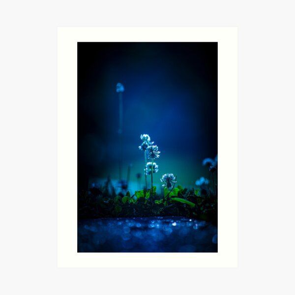Good Luck Art Print